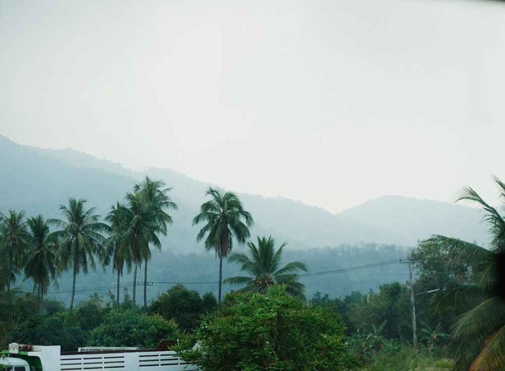 -Костя, Костя! Смотри ПАЛЬМЫ!!!!1 ГОРЫ!!111 ПАЛЬМЫ!!!11