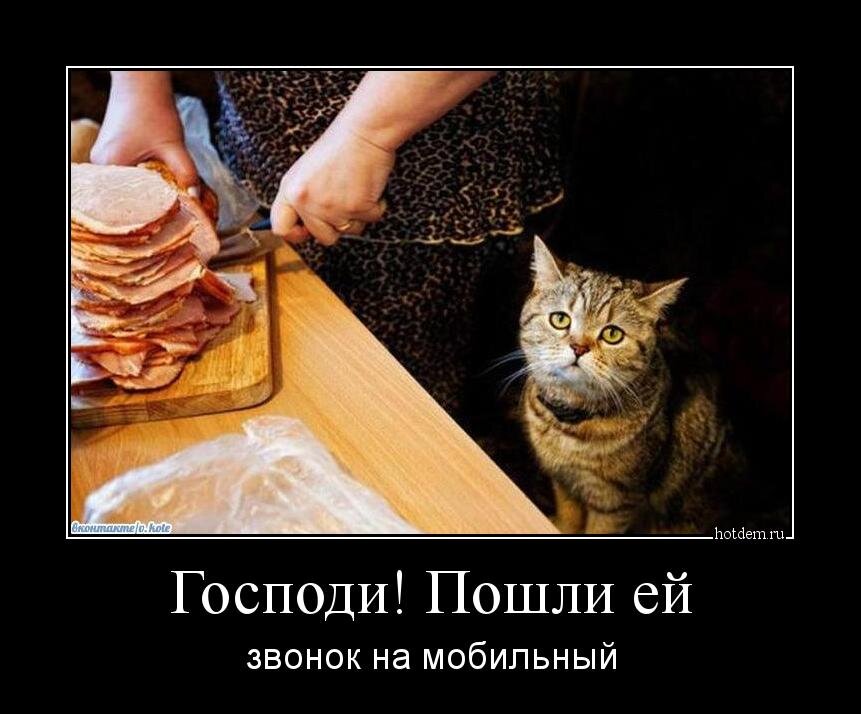 Фото с сайта https://hotdem.ru