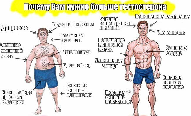 Фото: https://yandex.ru/images/