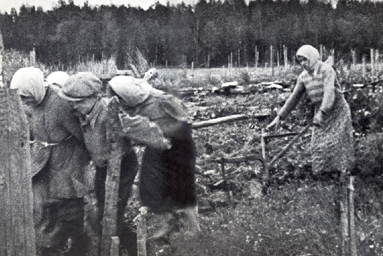 "Послабления не будет" Зерно, добытое таким способом, всего 4,5 млн. тонн отправляется на подкормку все новых сателлитов. В том числе Восточную Германию, аграрные Румынию и Венгрию... вплоть до Албании 