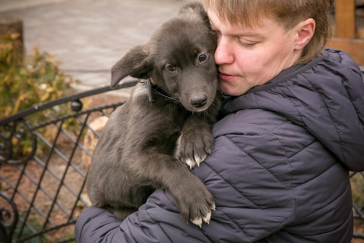 Шерри обнимашка. 89130150777 