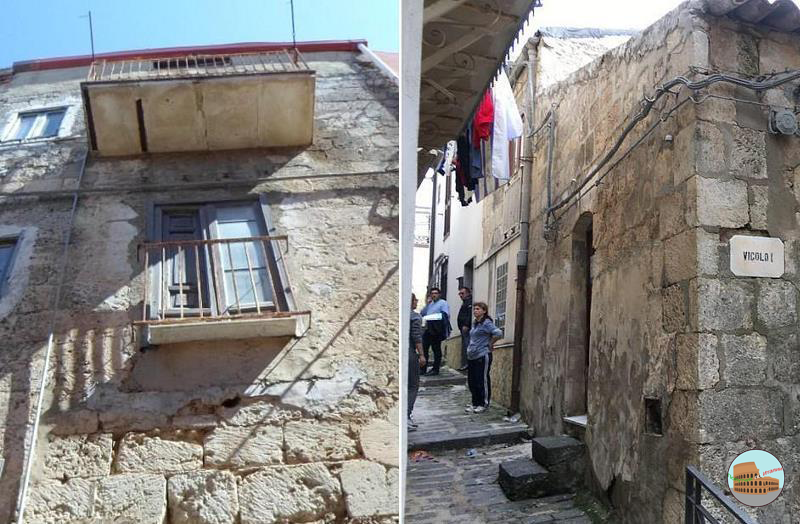 фото с сайта deadbees.net