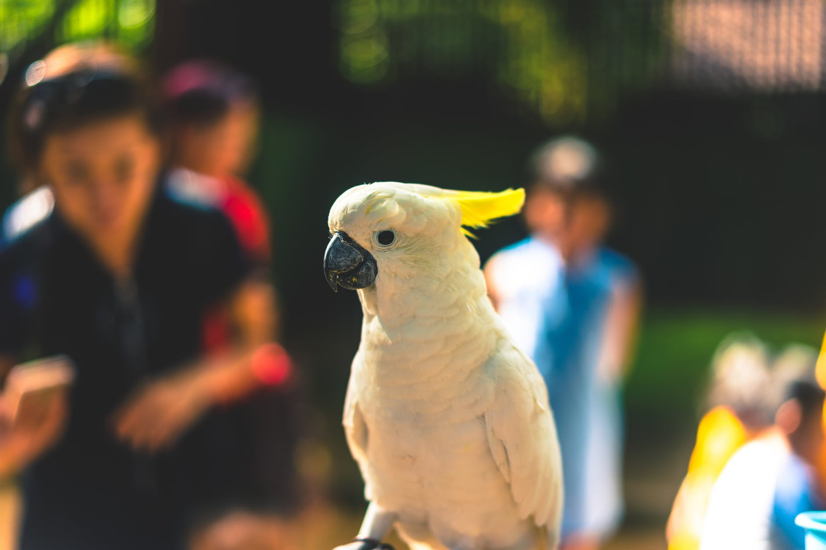 https://images.pexels.com/photos/697443/pexels-photo-697443.jpeg?auto=compress&cs=tinysrgb&dpr=2&h=650&w=940