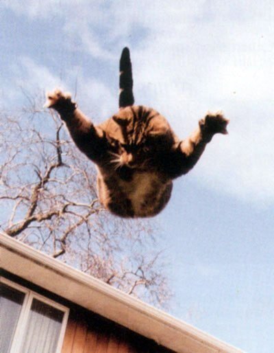 Десантники-резервисты прыгают на переподготовке. Инструктор
 Прыгайте. Дергаете за кольцо. Раскрывается купол. Приземляетесь. Внизу вас ждет автобус. Садитесь и едете по домам.
Прыгнул один. Дернул за кольцо. Парашют не раскрылся. Летит и думает:
 Так с парашютом надули. Теперь посмотрим, как насчет автобуса.
