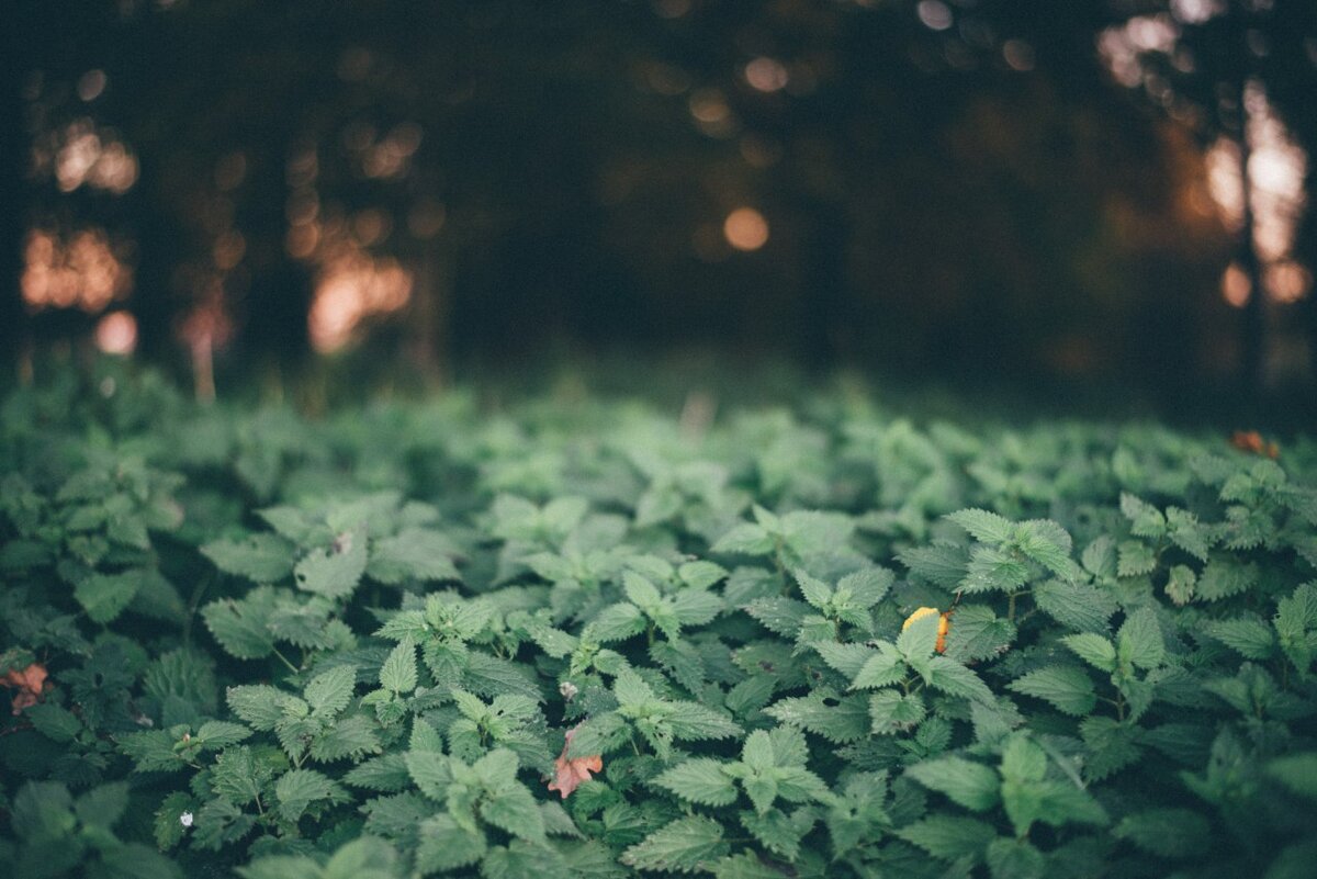 Фото взято из открытых источников