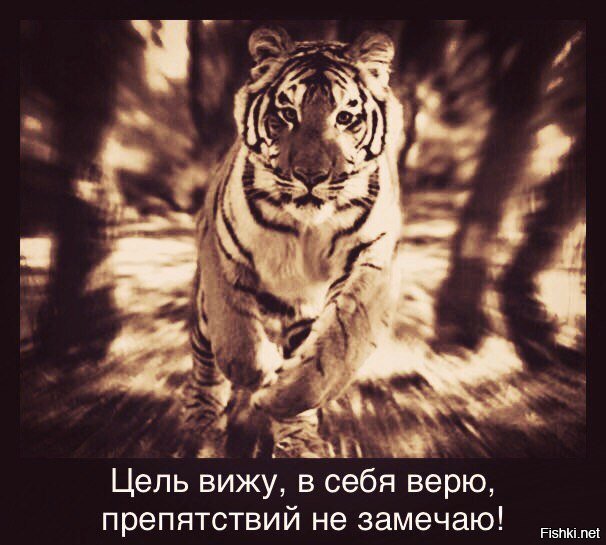 Изображение Яндекс