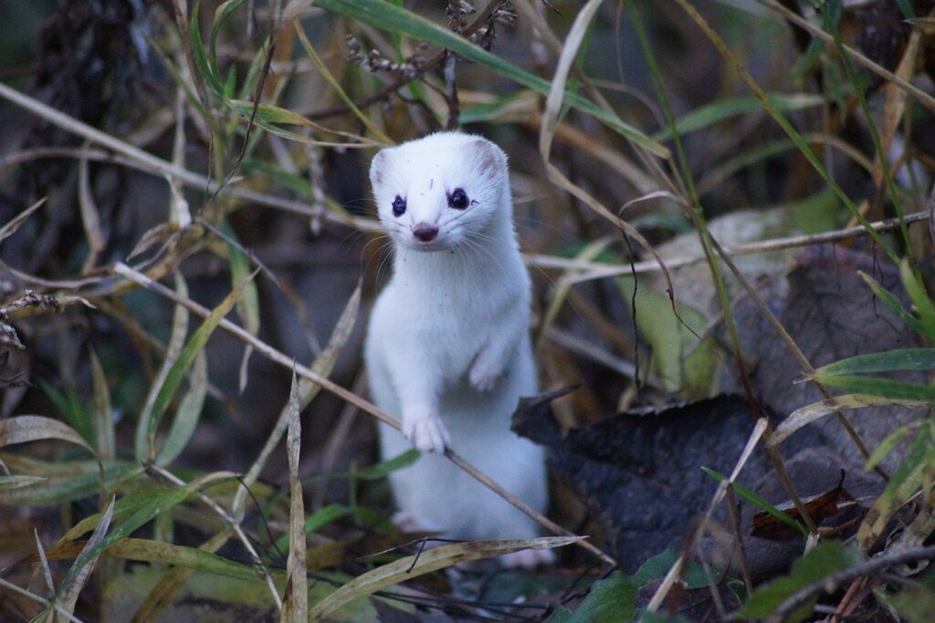 Фото Е. Знаменский