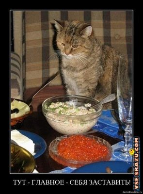 Желаю всем такого новогоднего стола сегодня и даже лучше.... с котом.