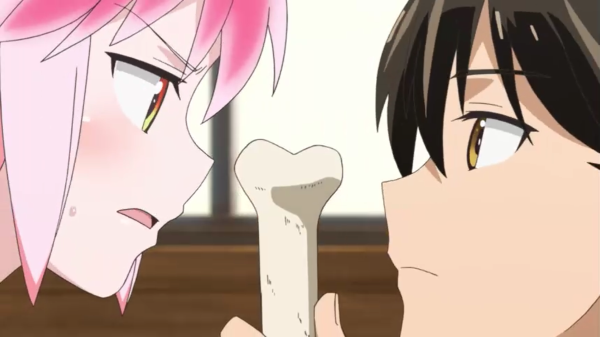 Добро пожаловать в Академию Сэтон