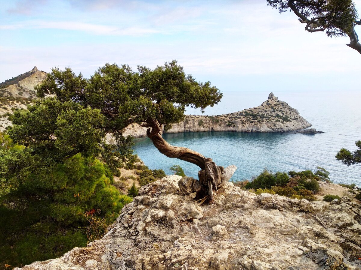 Алушта тропа Голицына