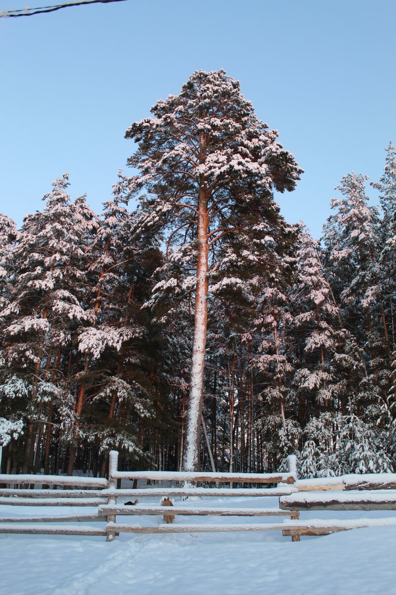 За окном.