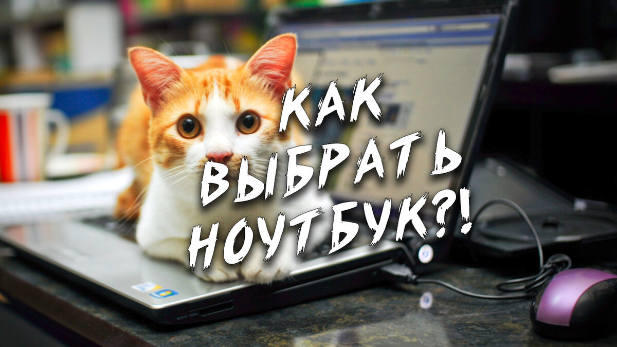 Как выбрать ноутбук?