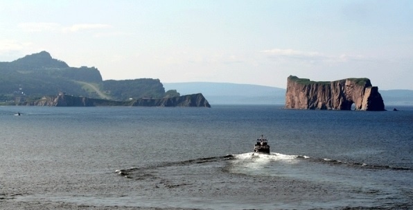 Яндекс.Картинки.