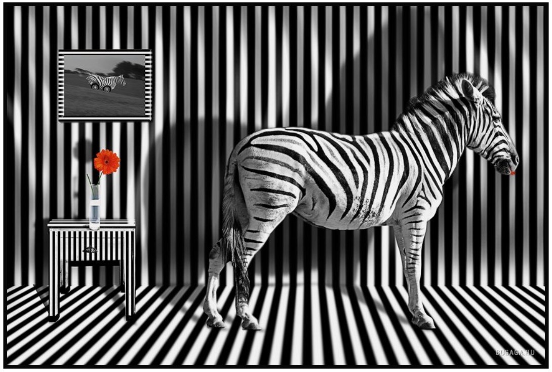 Фото из открытого источника