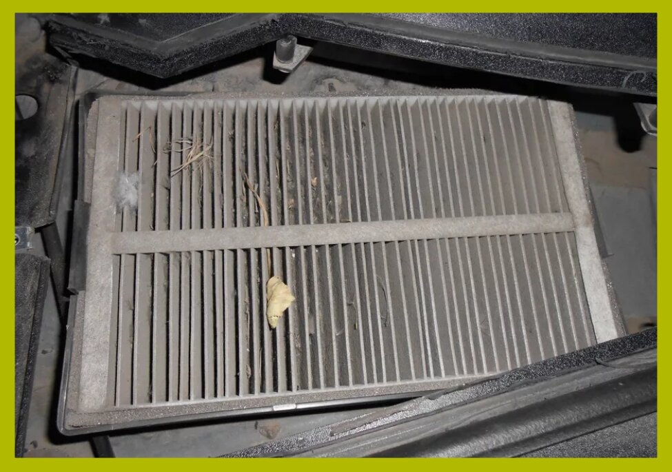  Фото: Яндекс Картинки