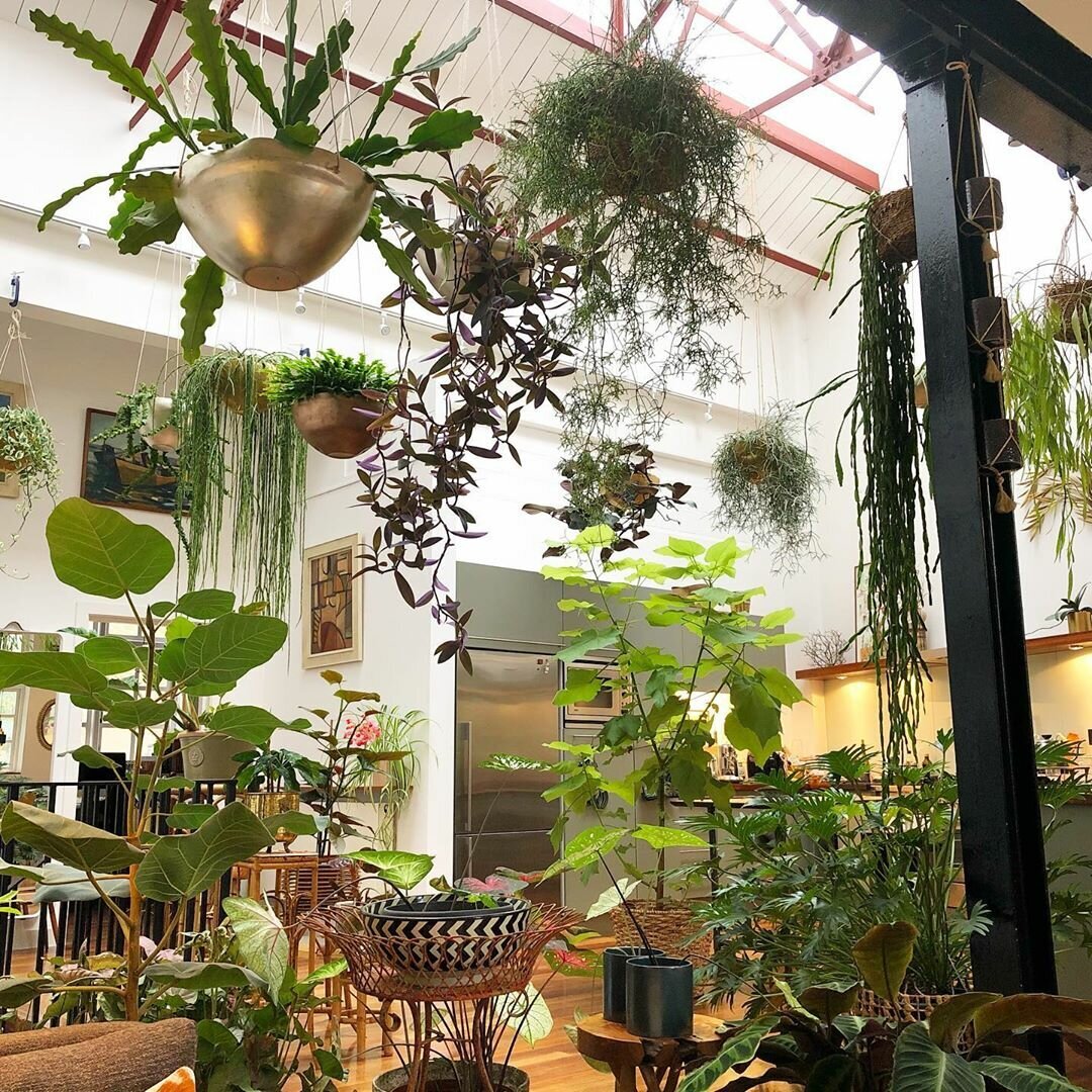 Зимний сад. Источник avatars.mds.yandex.net.