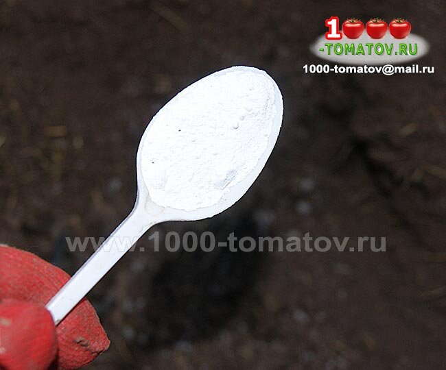 Посадка томатов фото 2