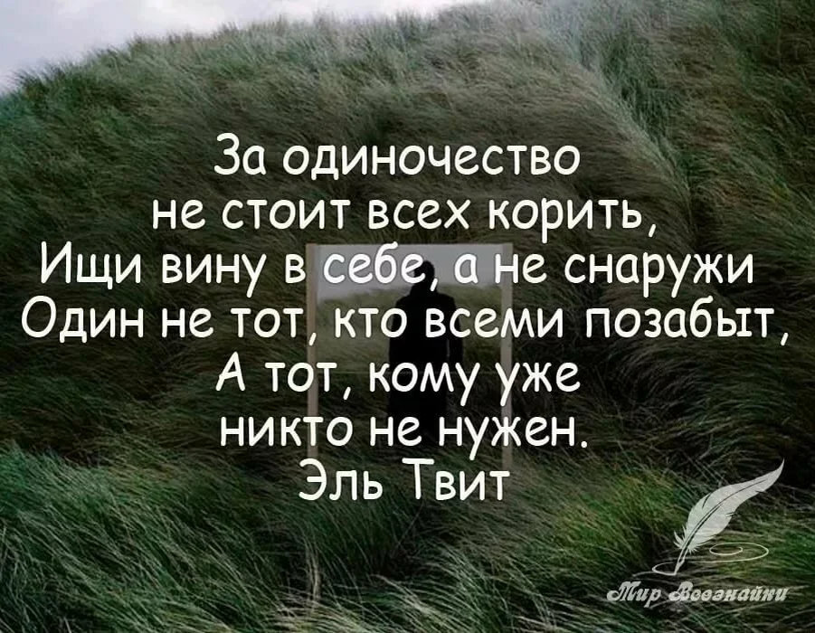 Одиночество статус со смыслом. Цитаты про одиночество. Красивые афоризмы о одиночестве. Одиночество стихи цитаты. Цитаты про одиночество со смыслом.