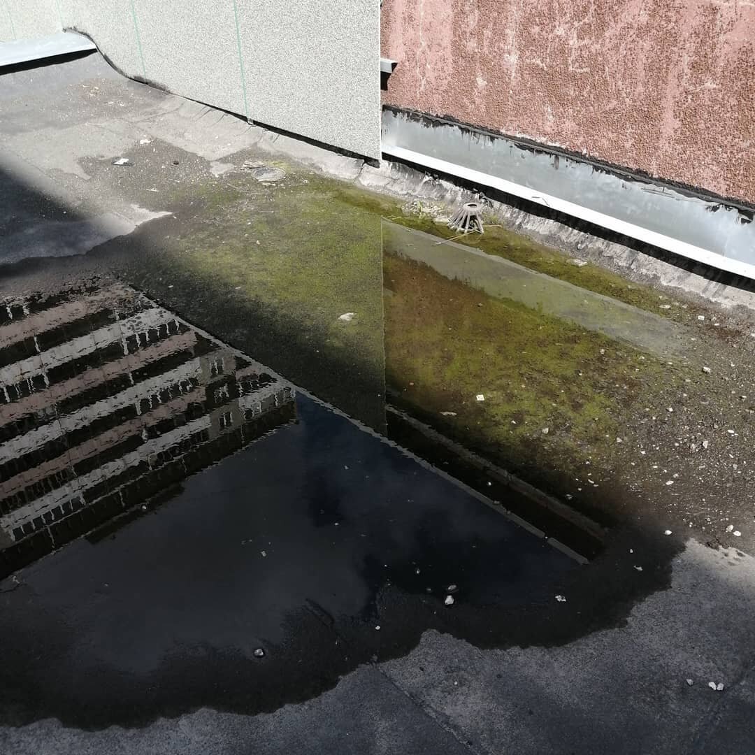 Болото)