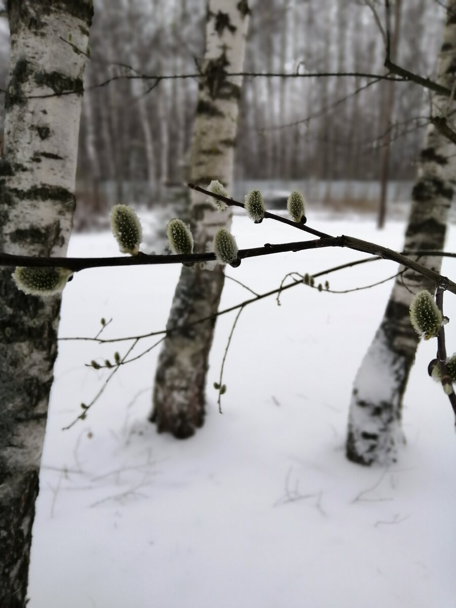 Апрельский снег