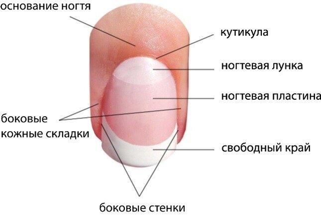 Трещина на большом пальце: как не допустить такого, когда делаешь сама себе маникюр