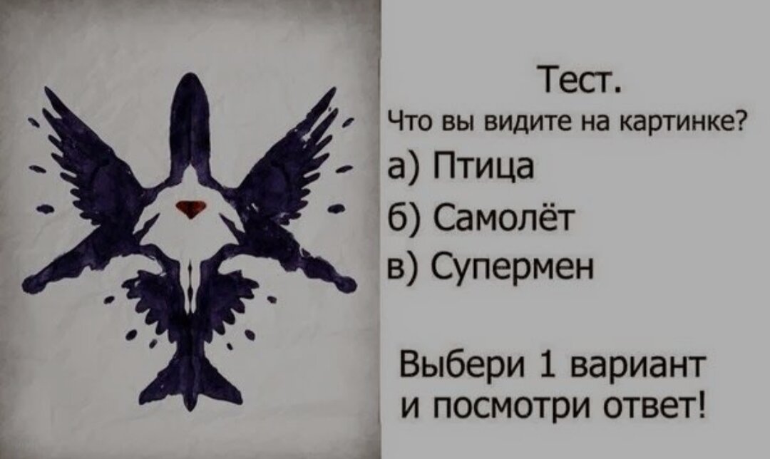 Жду ваших ответов 