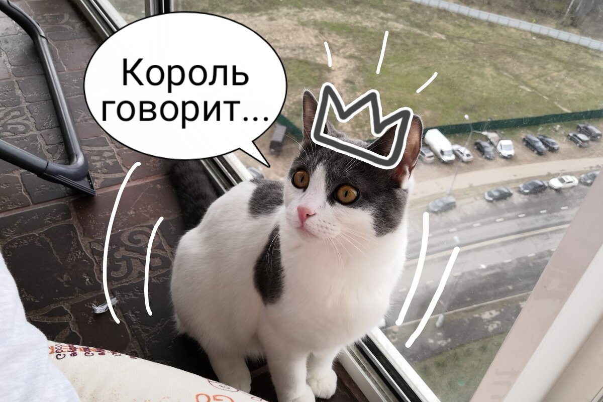 Делай как я говорю