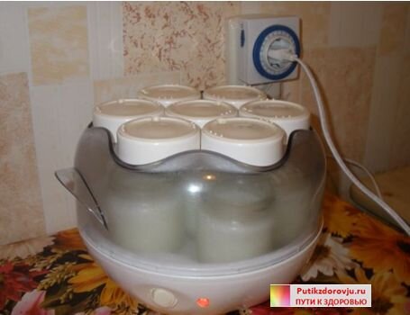 Живой йогурт в домашних условиях.
Употребляем живой йогурт, который делаем дома в йогуртнице. Заквашиваем прокипяченное и остуженное до 30 – 37 градусов молоко сухой закваской бифацил, его можно купить в аптеке. При отсутствии бифацила это молоко можно заквасить сметаной или хорошим кефиром без искусственных добавок.Живой йогурт укрепляет иммунитет, уменьшает газообразование и вздутие живота, защищает от аллергии, налаживает обмен веществ и улучшает усвоение  витаминов и минералов, повышает иммунитет после антибиотиков и химиотерапии, восстанавливает работу ЖКТ, омолаживает организм.Этим  рецептом можно повышать иммунитет детям и даже беременным и кормящим женщинам. В нём нет противопоказаний.