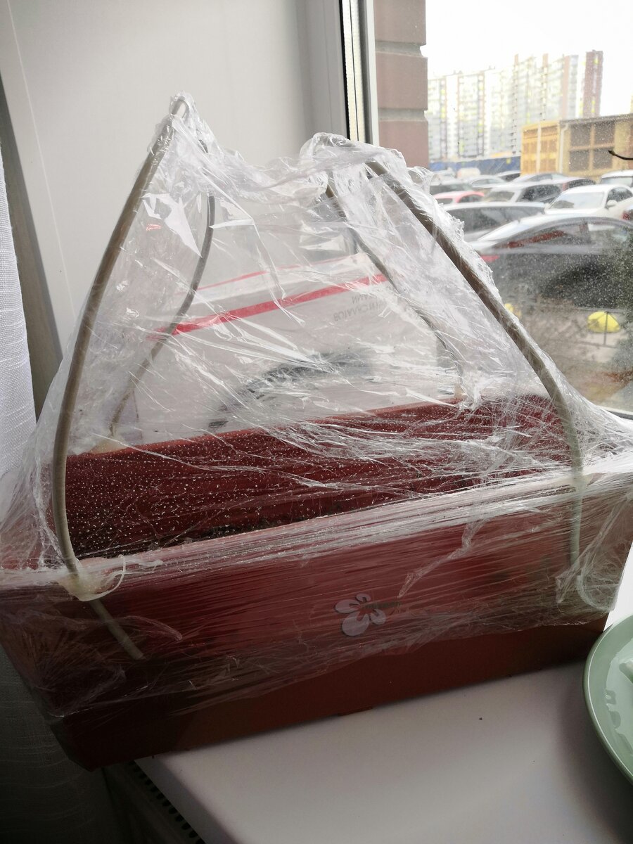 Импровизированная грядка с теплицой