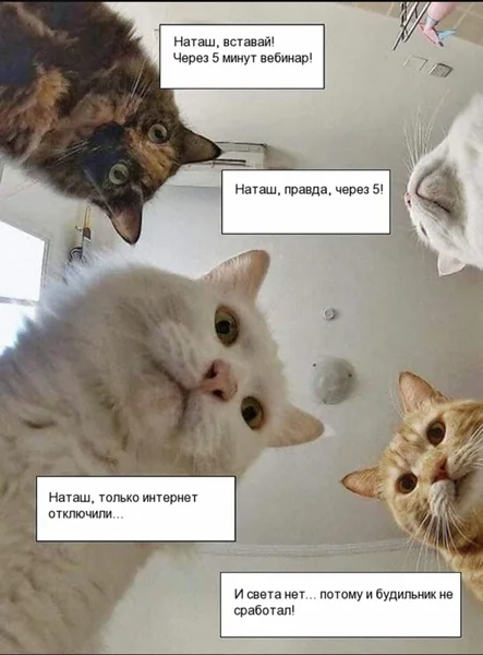 Наташ, правда