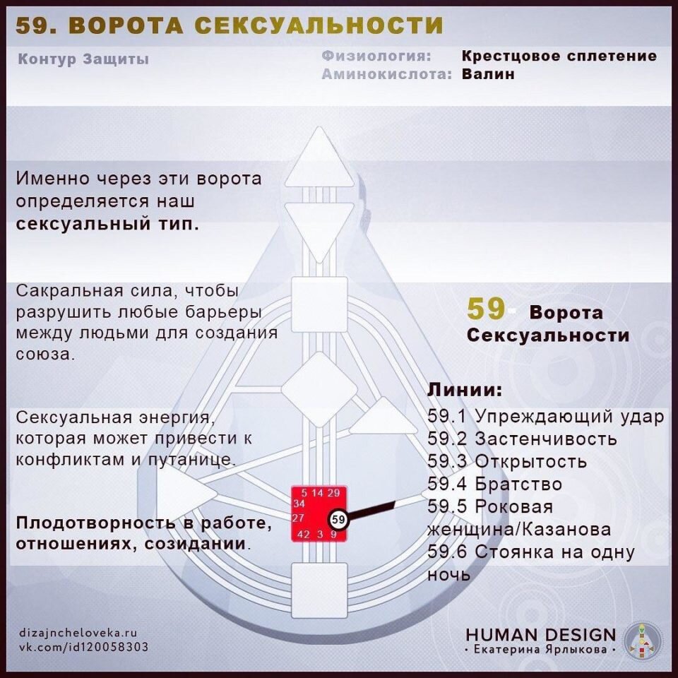 Контуры в дизайне человека