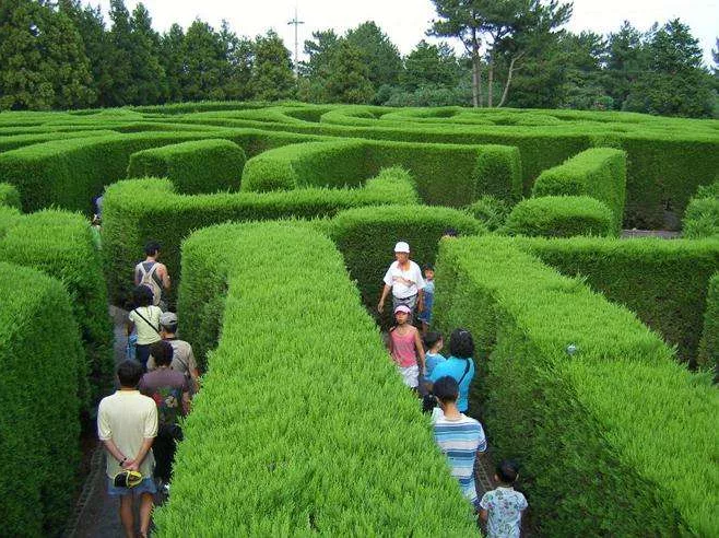 Тропа лабиринта Yancheng Dafeng Dream Maze. Источник изображений: Яндекс. Картинки