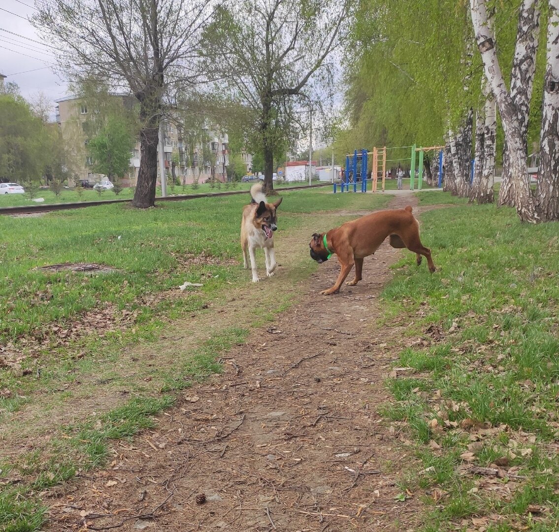 Личный архив