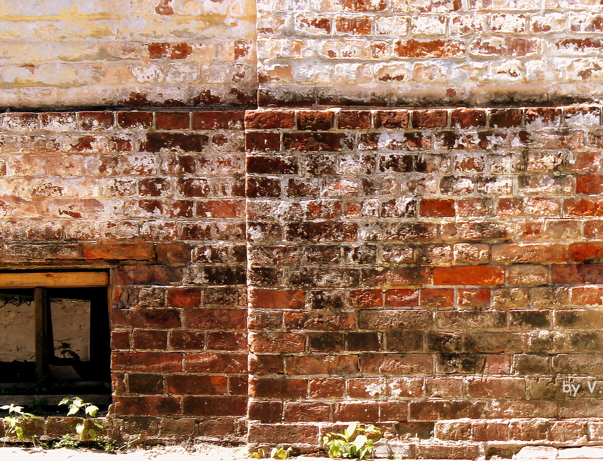 Фото Роня Хан