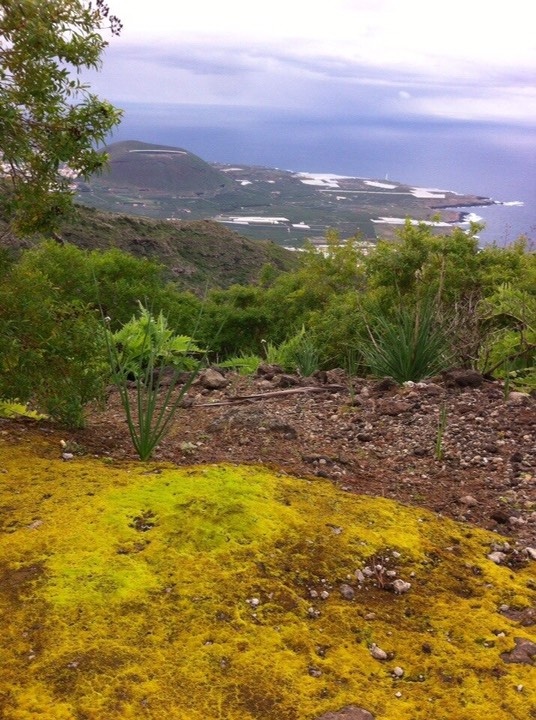 Когда поднялись высоко над уровнем океана...