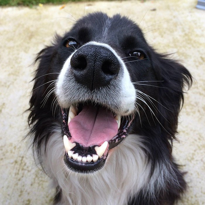 Фото из  https://cdn.websites.hibu.com