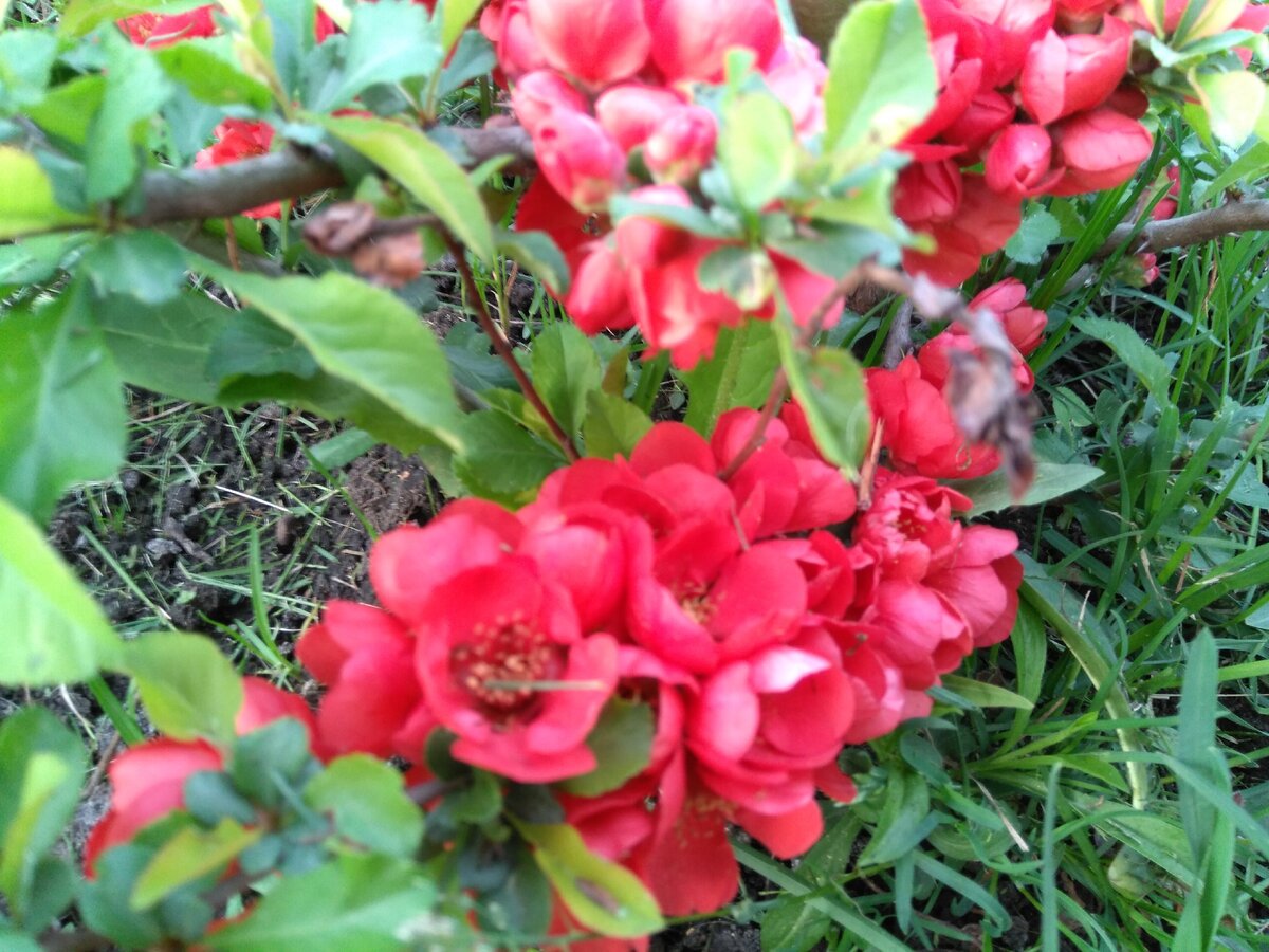 Фото автора.