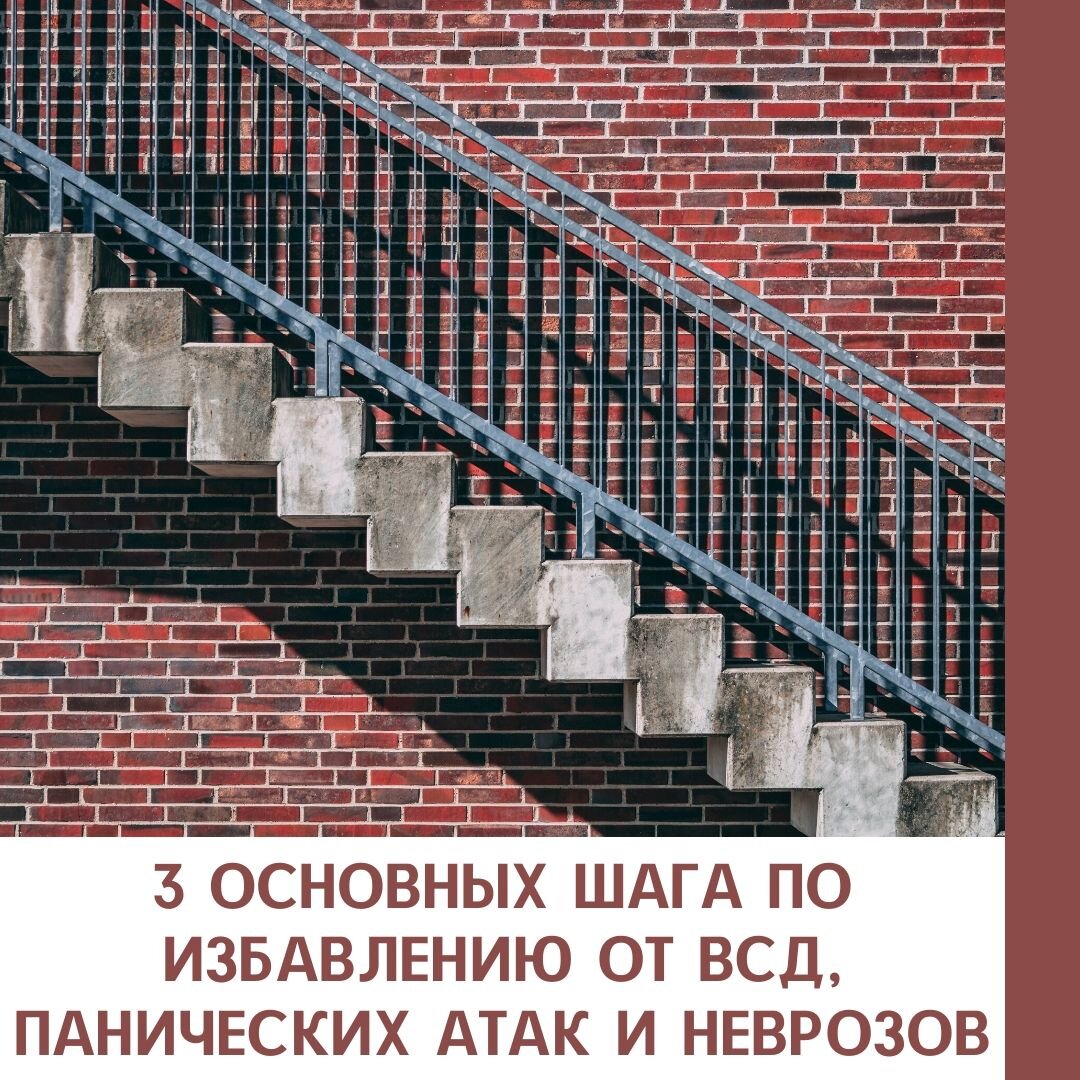 Фото из открытых источников www. unsplash.com.  Дизайн выполнен в редакторе Canva