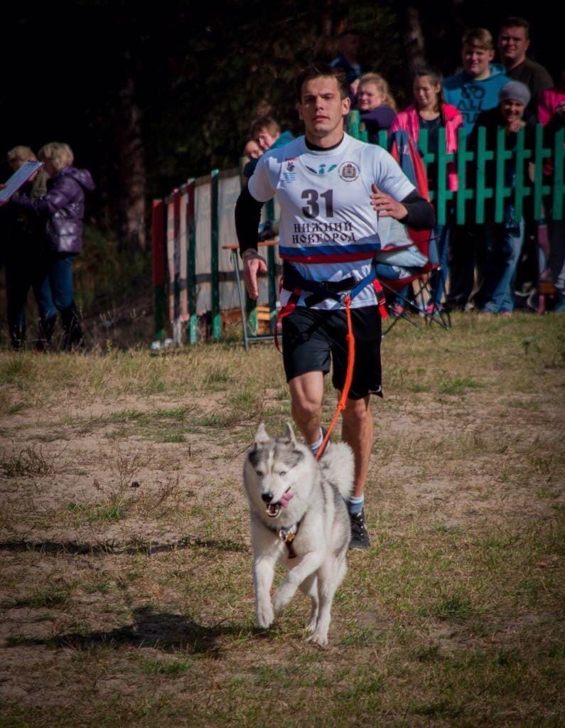 Чемпионат Нижегородской области по ездовым видам спорта. Кани-кросс. Это Саша и Орион