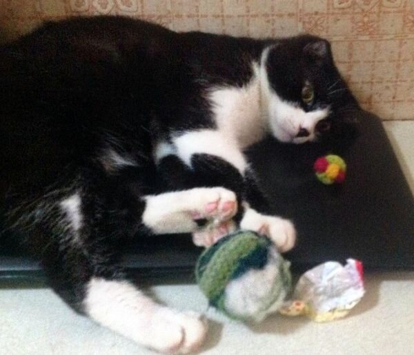  Микки: Ой, что скажет Кузек?