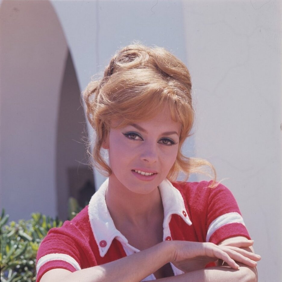 Мишель Мерсье, фото из сети Интернет