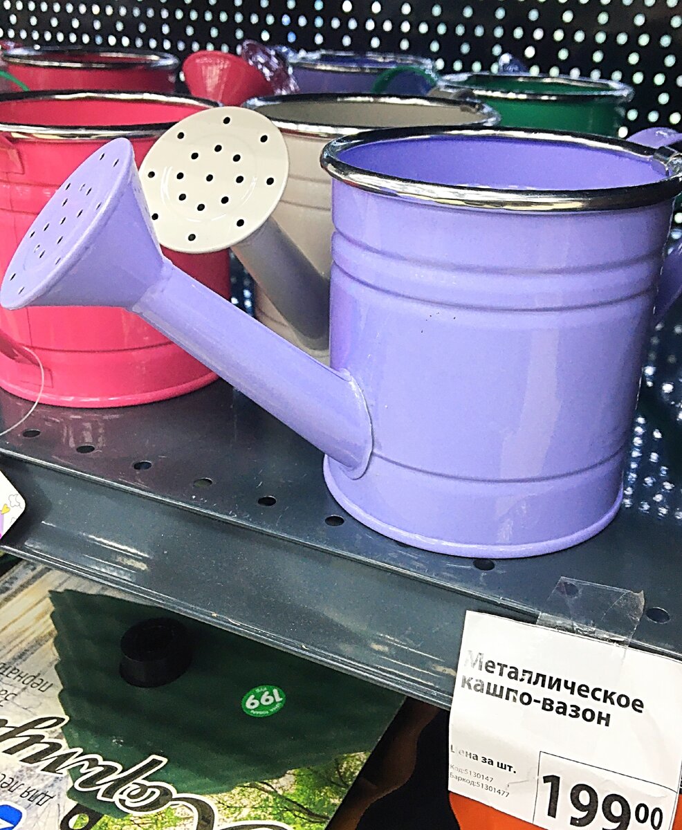 Фото из личного архива