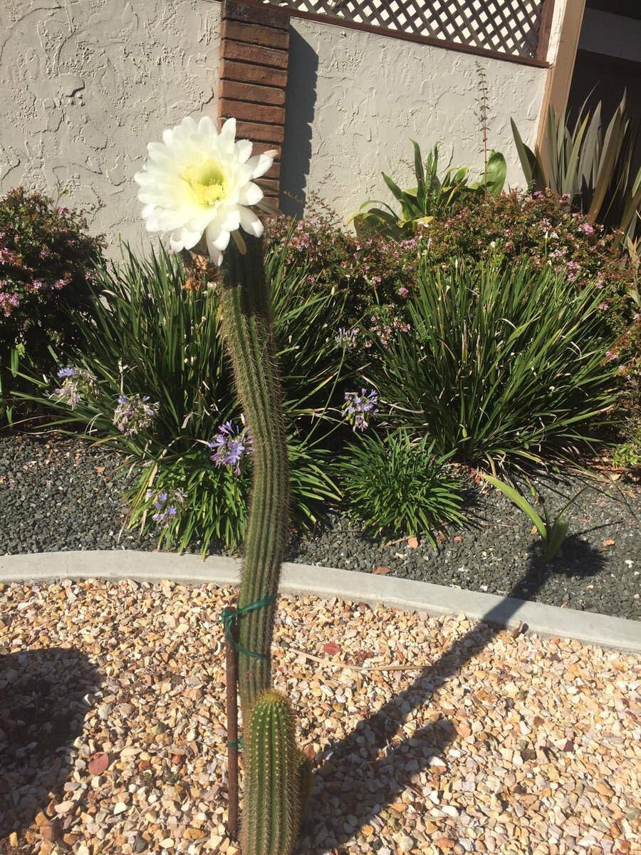 Ничего лишнего