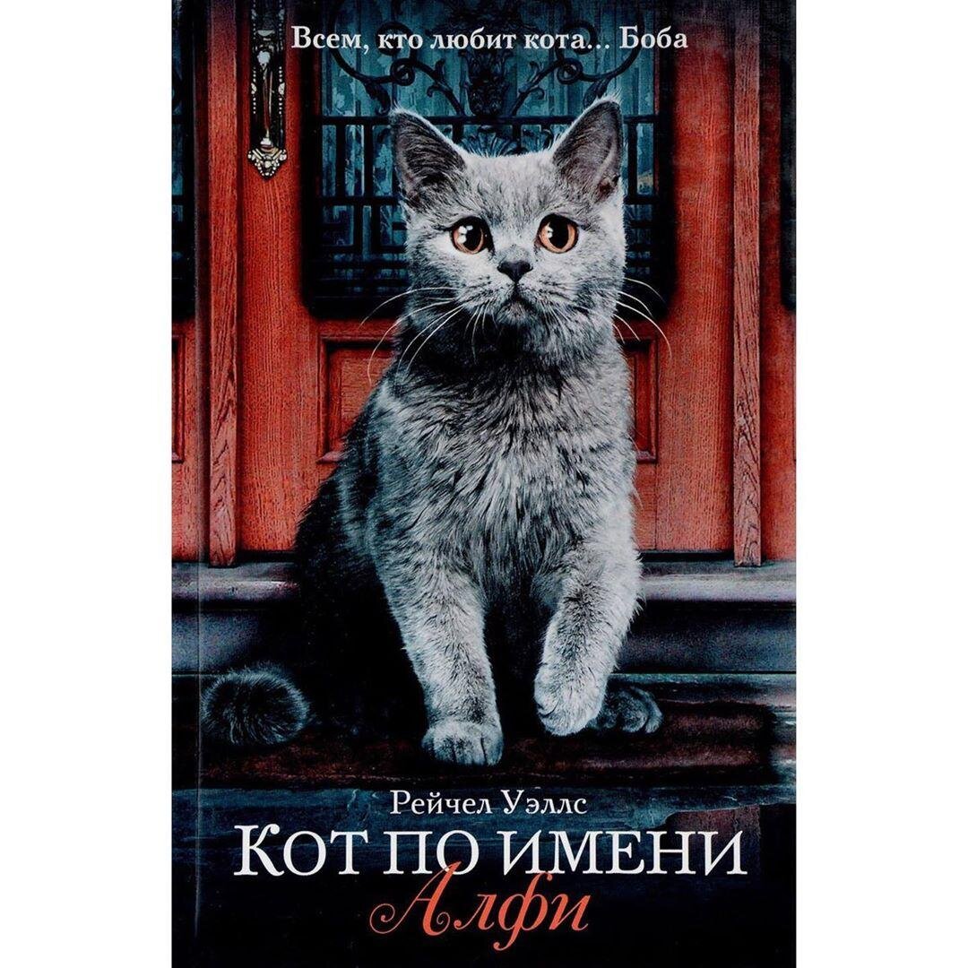 Книги про кошек и котов | Апиценна | Дзен
