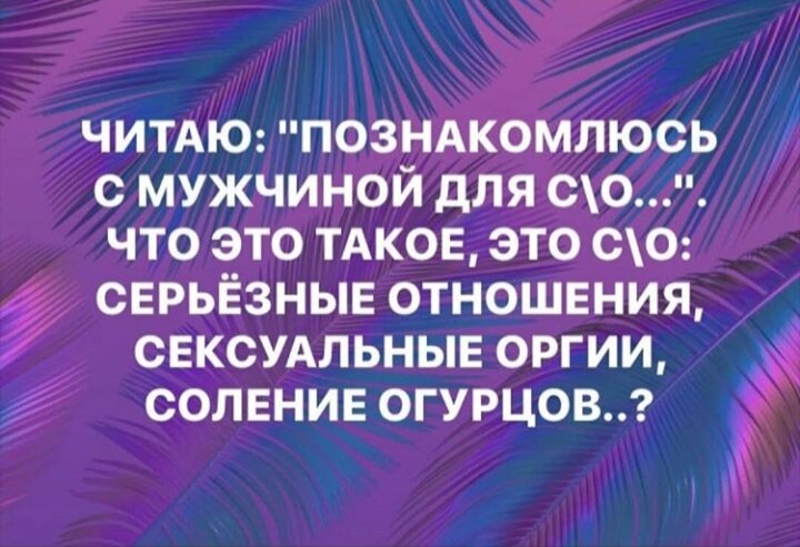 Яндекс картинки 