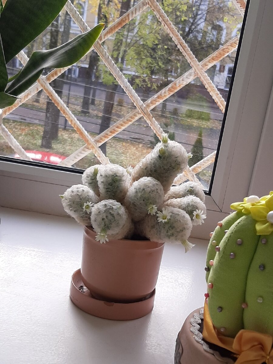 Личное фото