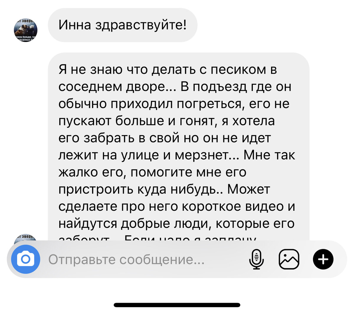 Когда Люси пыталась зайти в подъезд погреться, жители ее прогоняли, а как  собачка пропала- стали искать | Зоомама | Дзен