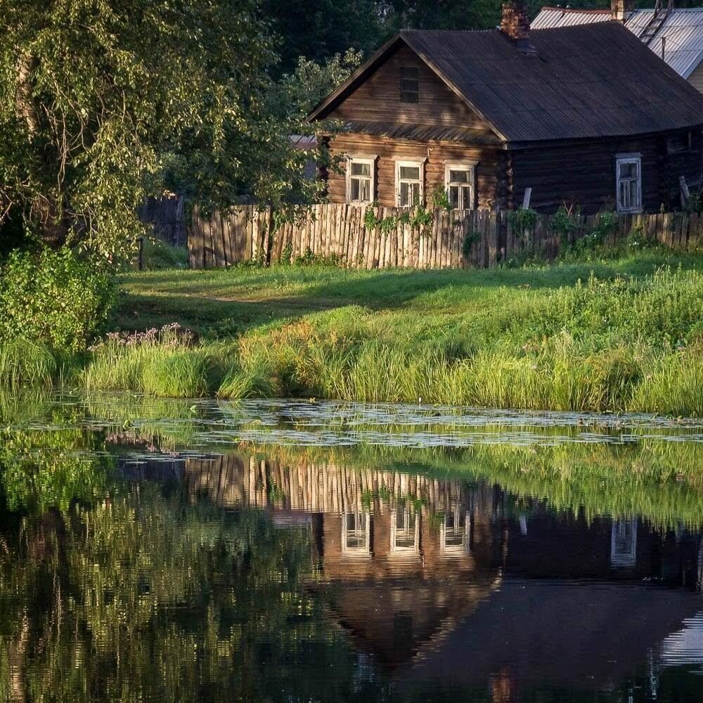 Яндекс картинки