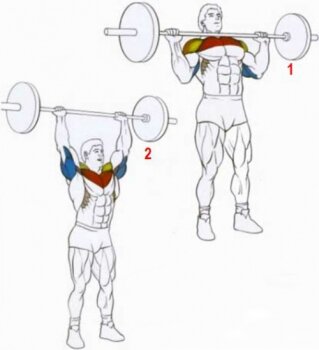 3 лучших упражнения для объемных плеч. Особенности тренировки дельтовидных мышц.    Источник фото: https://corrida-club.ru/wp-content/uploads/2017/10/95ee0e754517420315e713eaaec4ce24.jpg