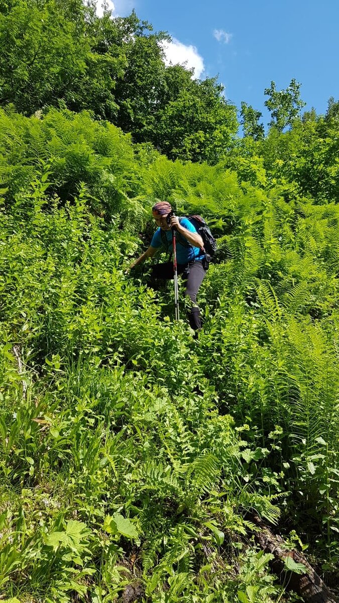 Изображение из личного архива